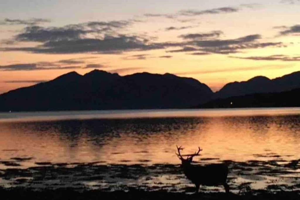 The Fox'S Den, Luxury Cosy Mini Lodge, Highlands North Ballachulish Екстериор снимка