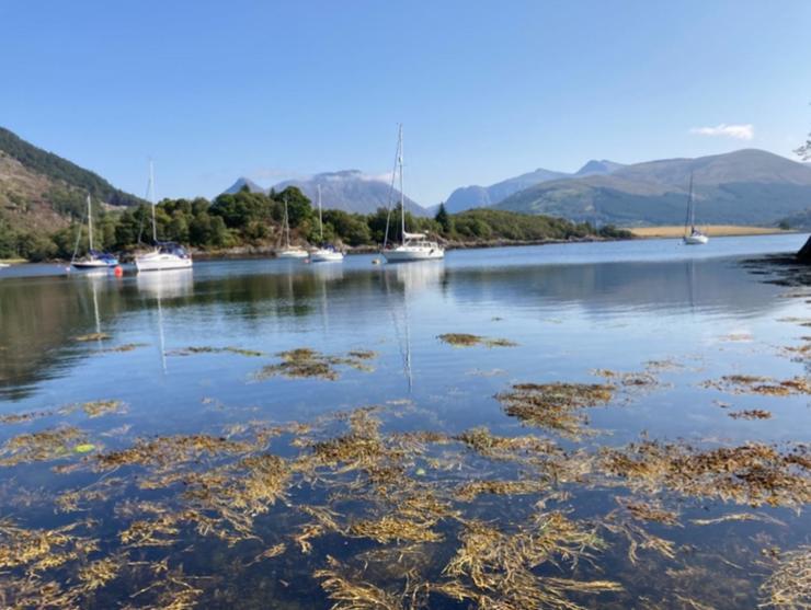 The Fox'S Den, Luxury Cosy Mini Lodge, Highlands North Ballachulish Екстериор снимка